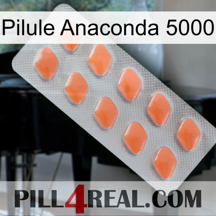 Anaconda 5000 Pill 26
